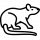 Дератизация